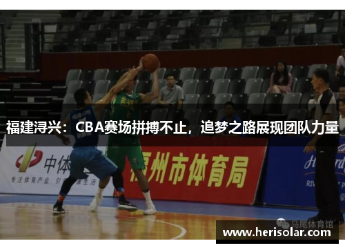 福建浔兴：CBA赛场拼搏不止，追梦之路展现团队力量